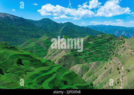 paysage de montagne avec terrasses agricoles vertes sur les pentes Banque D'Images