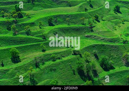 Terres agricoles en terrasse sur les pentes de montagne du Dagestan Banque D'Images