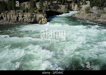 Chutes Kootenai, rivière Kootenai, Montana, États-Unis Banque D'Images