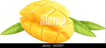Fruits de mangue tranchés avec feuilles vertes sur fond blanc illustration réaliste de vecteur Illustration de Vecteur