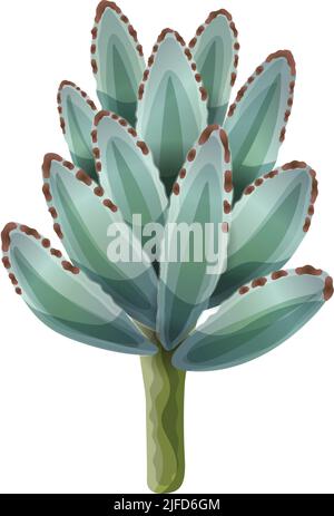 Composition de Cactus avec image isolée de fleur d'agave sur fond vierge illustration vectorielle Illustration de Vecteur