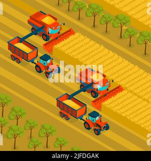 Arrière-plan isométrique agricole avec moissonneuse-batteuse et tracteur moissonnant la récolte dans les champs de grain illustration vectorielle Illustration de Vecteur