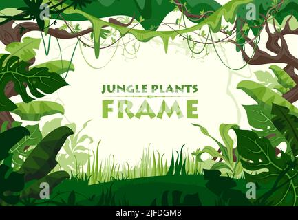 Cadre vert pour plantes de jungle avec inscription dans l'illustration vectorielle plate du milieu Illustration de Vecteur