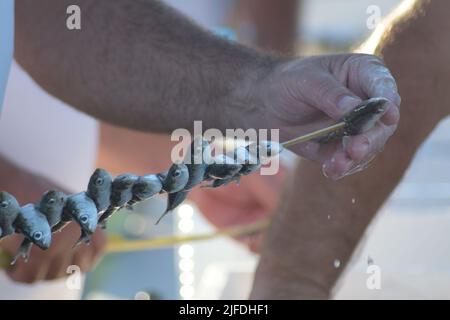 Espeteros skewering sardines espetos, cuisine typiquement espagnole Banque D'Images