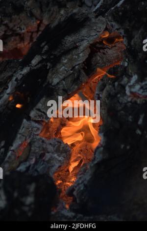 Feu de bois dans un barbecue Banque D'Images