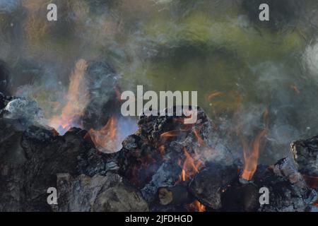 Bûches de bois brûlant dans un barbecue Banque D'Images