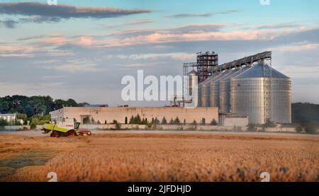 RÉGION DE TERNOPIL, UKRAINE - 03 août 2021: - Grandes cuves de stockage de grains et champ de blé et moissonneuse CLAAS moissonneuse-batteuse, illustration de securi alimentaire mondial Banque D'Images