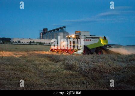 RÉGION DE TERNOPIL, UKRAINE - 03 août 2021: - Combiner le travail CLAAS de nuit dans le champ de blé, la récolte Banque D'Images