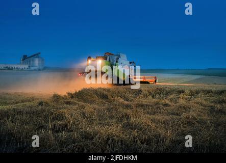 RÉGION DE TERNOPIL, UKRAINE - 03 août 2021: - La moissonneuse-batteuse CLAAS travaille de nuit dans un champ de blé, éclairage de soirée du travail de remappage Banque D'Images