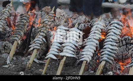 Sardines typiques espetos au grill dans un barbecue Banque D'Images
