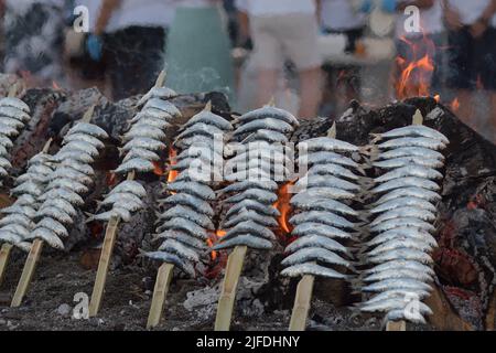 Barbecue populaire avec sardines espetos au grill, cuisine typiquement espagnole Banque D'Images