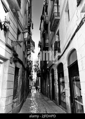 Photo verticale en niveaux de gris d'une rue étroite entre deux bâtiments Banque D'Images