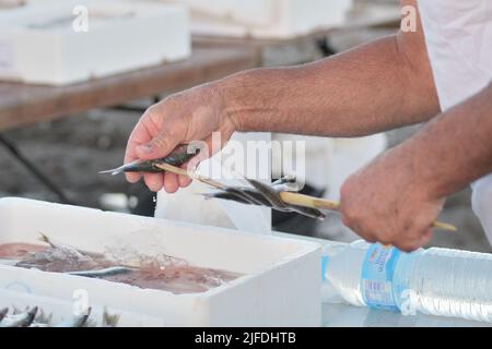 Espeteros skewering sardines en espetos, cuisine typiquement espagnole Banque D'Images