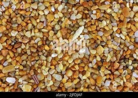 Sable de mer (plage de Ghajn Tuffieha, Malte) avec des particules d'orange rougeâtre peu de coquillages d'océan restent visibles. Microscope photo, largeur d'image 9mm Banque D'Images