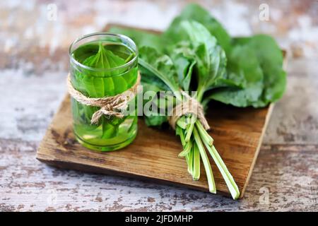 Boisson plantain dans un verre. Feuilles de plantain fraîches. Thé thérapeutique de plantain. Banque D'Images