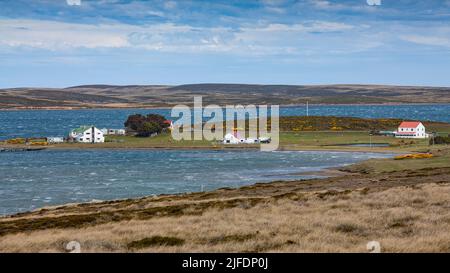 Règlement de Darwin, Falkland oriental, îles Falkland Banque D'Images