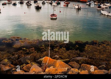 Port de Portrush en Irlande du Nord sur la côte d'Antrim. Banque D'Images