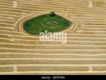 Petersdorf, Allemagne. 02nd juillet 2022. Sur un champ de grain récolté, il y a un "atoll", une petite dépression, habituellement avec un trou d'eau (photo aérienne avec un drone). De telles 'gouges' étaient souvent formées à la suite de l'âge de la glace dans le nord-est de l'Allemagne. En tant que biotopes, ils forment des îles de valeur écologique dans les zones fortement utilisées pour l'agriculture. Credit: Patrick Pleul/dpa/Alay Live News Banque D'Images