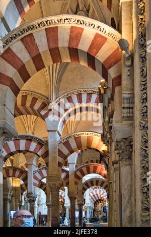 Cordoue, Andalousie, Espagne - personne dans le masque de visage explorant l'intérieur de Mezquita ou la cathédrale de la mosquée avec des arches rouges et blanches distinctes à deux niveaux Banque D'Images