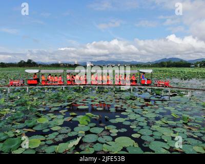 Jinghong. 2nd juillet 2022. La photo aérienne prise sur 2 juillet 2022 montre aux visiteurs un mini train touristique pour admirer les fleurs de lotus au lac de Longde dans la ville de Jinghong de la préfecture autonome de Xishuangbanna Dai, dans le sud-ouest de la province du Yunnan en Chine. Credit: Li Yunsheng/Xinhua/Alamy Live News Banque D'Images