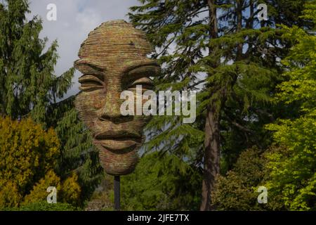 Sculptures, lacs, étangs, jardins et superbes couleurs et magnifiques plantes et arbres dans les jardins Leonardslee de West Sussex Banque D'Images