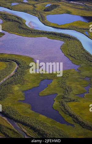 Vue aérienne du delta de Laitaure dans le parc national de Sarek, Suède, Norrland Banque D'Images