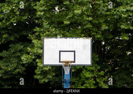 Panier de basket-ball dans une forêt Banque D'Images