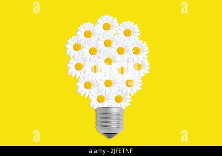 Autre concept de puissance : symbole de l'ampoule disposé à partir de fleurs de Marguerite fraîches isolées sur le jaune. Une idée de style de vie durable. Banque D'Images