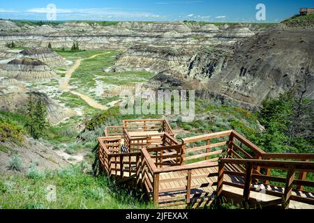 Horseshoe Canyon, dans la vallée de la rivière Red Deer, Badlands canadiens, sur le sentier North Dinosaur, Drumheller, Alberta, Canada Banque D'Images