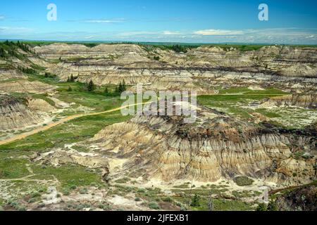 Horseshoe Canyon, dans la vallée de la rivière Red Deer, Badlands canadiens, sur le sentier North Dinosaur, Drumheller, Alberta, Canada Banque D'Images