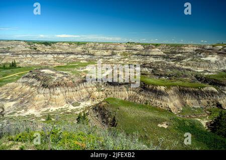 Horseshoe Canyon, dans la vallée de la rivière Red Deer, Badlands canadiens, sur le sentier North Dinosaur, Drumheller, Alberta, Canada Banque D'Images