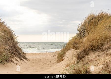 Valence, Espagne. 1st juillet 2022. Vue sur la plage de la Devesa par temps ensoleillé. Les plages de Valence sont l'une des principales attractions touristiques de la ville. (Credit image: © Xisco Navarro/SOPA Images via ZUMA Press Wire) Banque D'Images