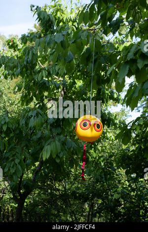 Ballon Scare-Eye ou ballon Scare-Bird. Les ballons gonflants anti-effarant pour oiseaux qui se déplacent dans le vent repoussent efficacement les oiseaux nuisibles indésirables courants Banque D'Images