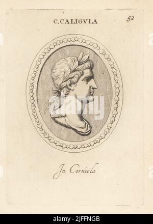 Buste de Gaius Caesar Augustus Germanicus ou Caligula, troisième empereur romain, 12-41 AD. Dans la couronne de Laurier. En carnélien. C. Caligula. À corniola. Gravure de coperplate par Giovanni Battista Galestuzzi d'après Leonardo Agostini de gemmae et Sculpturae Antiquae Depitti ab Leonardo Augustino Senesi, Abraham Blooteling, Amsterdam, 1685. Banque D'Images