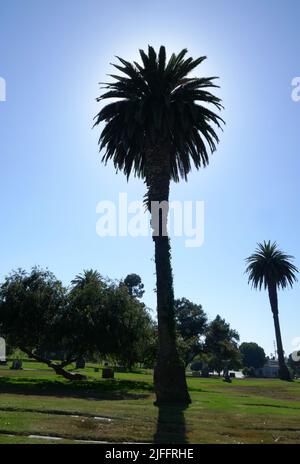 Inglewood, Californie, États-Unis 29th juin 2022 Cimetière Inglewood Park sur 29 juin 2022 à Inglewood, Los Angeles, Californie, États-Unis. Photo par Barry King/Alay stock photo Banque D'Images