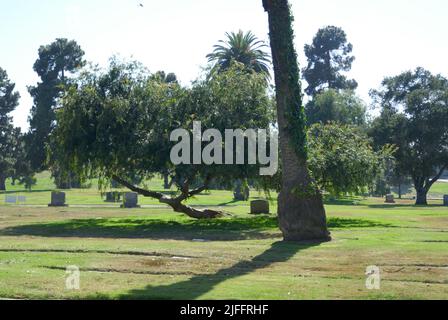 Inglewood, Californie, États-Unis 29th juin 2022 Cimetière Inglewood Park sur 29 juin 2022 à Inglewood, Los Angeles, Californie, États-Unis. Photo par Barry King/Alay stock photo Banque D'Images