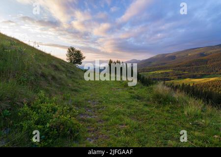 L'aube dans les Carpates ukrainiens. Montagnes aux couleurs de l'aube. Panorama des montagnes. Banque D'Images