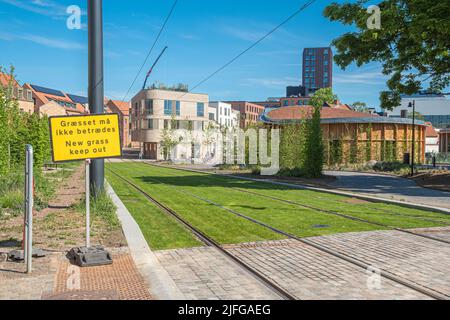 Voies ferrées du tramway ou du trolley-bus sur une route à herbe verte. Réseau électrique de transport public dans la ville centrale d'Odense, Danemark, Europe Banque D'Images