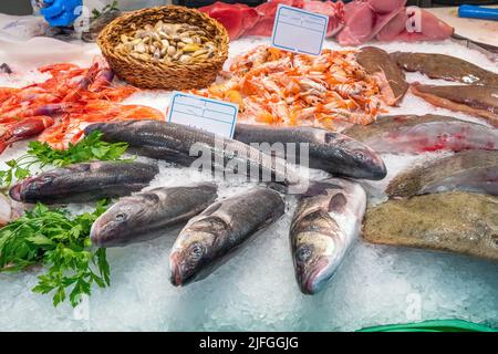 Poissons et fruits de mer sur glace vus sur un marché de Barcelone, Espagne Banque D'Images