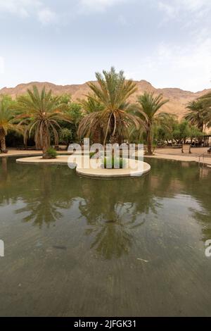 La belle piscine est pleine d'eau claire dans le centre de la réserve naturelle d'Einot Tzukim, au nord de la mer Morte - Israël Banque D'Images