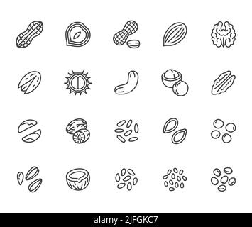 Jeu d'icônes de ligne plate NUTS. Arachides, amande, châtaigne, macadamia, noix de cajou, pistache, illustrations vectorielles de graines de pin. Présenter les signes d'une alimentation saine Illustration de Vecteur