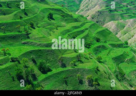 paysage de montagne avec terrasses agricoles vertes sur les pentes Banque D'Images