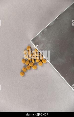 Une boîte rectangulaire argentée sur fond gris. La nourriture pour animaux déborde du trou. Aliments secs en pellicule. Nourriture pour animaux. Mise au point sélective. Banque D'Images