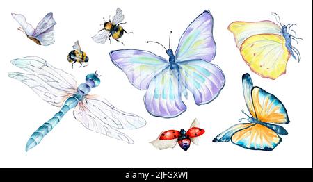 Jeu d'insectes de prairie aquarelle illustration sur blanc. Papillons, libellule, coccinelle, abeille, bourdon. Insecte coloré peint à la main. Conception pour c Banque D'Images