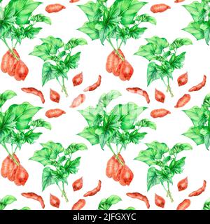 Motif sans couture de broussailles de patates douces illustration aquarelle isolée. Batata de légumes crus, plantes de jardin, tige avec feuillage peint à la main. Conception Banque D'Images