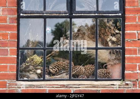 Fleurs séchées, cônes de pin et herbes dans un hangar en pot à RHS Wisley Gardens, Surrey, Angleterre Banque D'Images