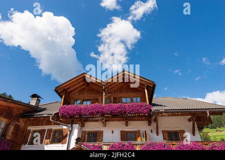 Gros plan d'un chalet de montagne typique avec balcons avec fleurs pétunia pourpres dans le Trentin-Haut-Adige, province de Bolzano, Italie, Europe. Banque D'Images