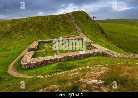 Direction ouest vers Milecastle 39 sur le mur d'Hadrien à Steel Rigg, Northumberland, Angleterre Banque D'Images