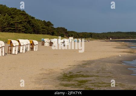 La vue de la plage de Zempin sur l'île d'Usedom avec de nombreuses chaises de plage en été Banque D'Images