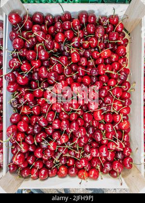 Cerises rouges et rainier dans une boîte rustique. Banque D'Images